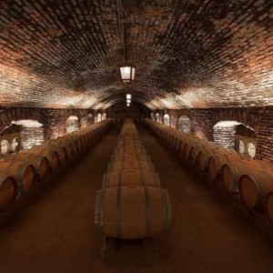 tours y visita vina concha y toro 1 | EXPERIENCE CONCHA Y TORO