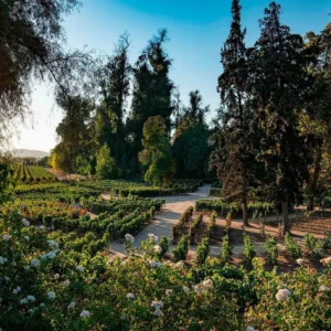 tours y visita vina concha y toro 5 | EXPERIENCE CONCHA Y TORO