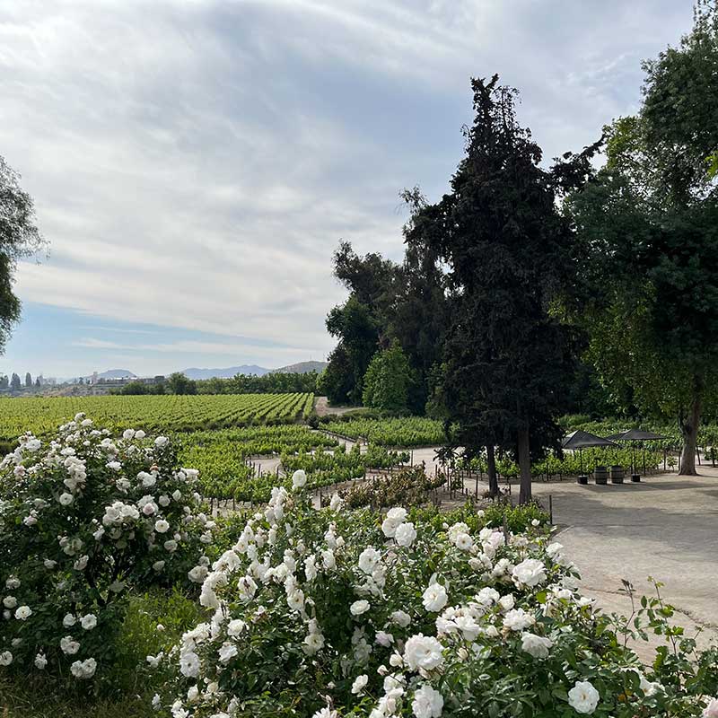 tours y visitas 2 | EXPERIÊNCIA CONCHA Y TORO