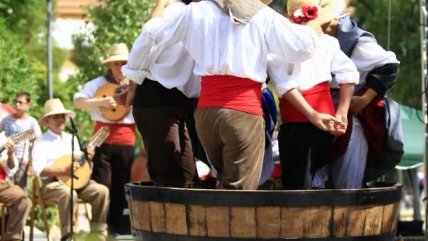Fiesta de la vendimia Curicó